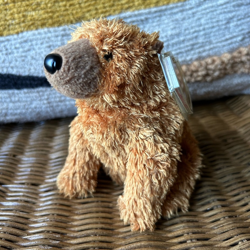 2/$20❤️- TOY | Ty Beanie Baby Sequoia bear 2001